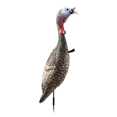 Flextone Funky Chicken turkey decoy