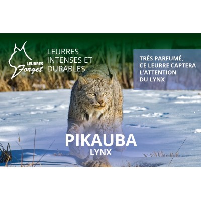 Leurres Forget Pikauba - Lynx