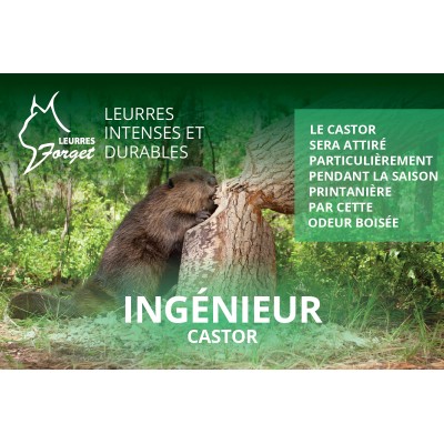 Leurres Forget Ingénieur - Beaver