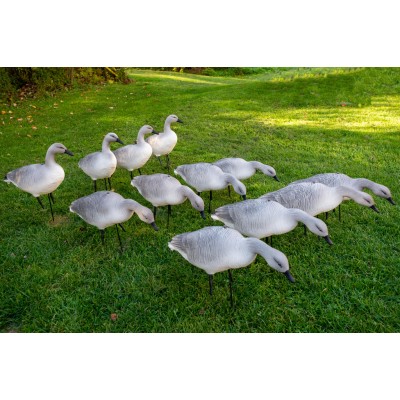 Skyfall Decoys - Juvenile Snow Goose - (12 pack)