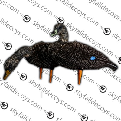 Skyfall Decoys - Canard noir - (6 pack)