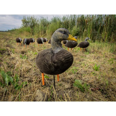 Skyfall Decoys - Black Duck - (6 pack)