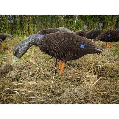 Skyfall Decoys - Black Duck - (6 pack)