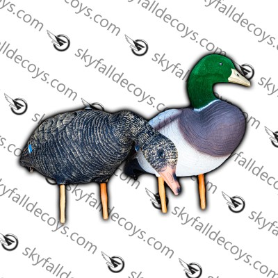 Skyfall Decoys -  Canard Colvert des champs - (12 pack)