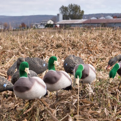 Skyfall Decoys -  Canard Colvert des champs - (12 pack)