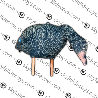 Skyfall Decoys -  Canard Colvert des champs - (12 pack)