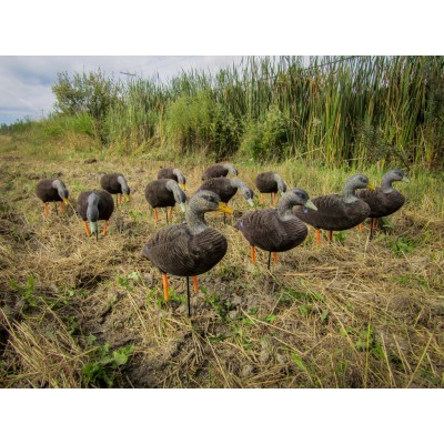 Skyfall Decoys - Black Duck - (6 pack)