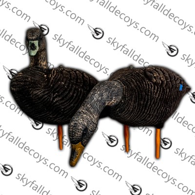 Skyfall Decoys - Black Duck - (6 pack)