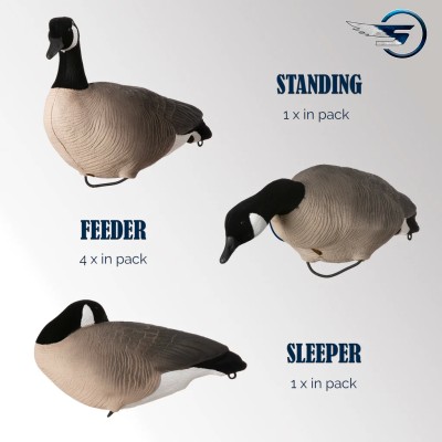 Skyfall Decoys - Bernache du Canada - (6 pack) - Modèle V2.0 Amélioré