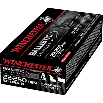Winchester 22-250 Rem 55gr Ballistic Silvertip Fragmenting polymer tip
