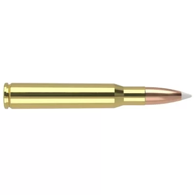 Nosler Trophy Grade Ammunition, 30-06 SPRG, 165gr, Accubond