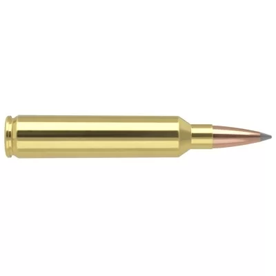Nosler Trophy Grade Long range Ammunition, 6.5 Creedmoor, 142gr, ABLR