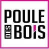 Poule Des Bois