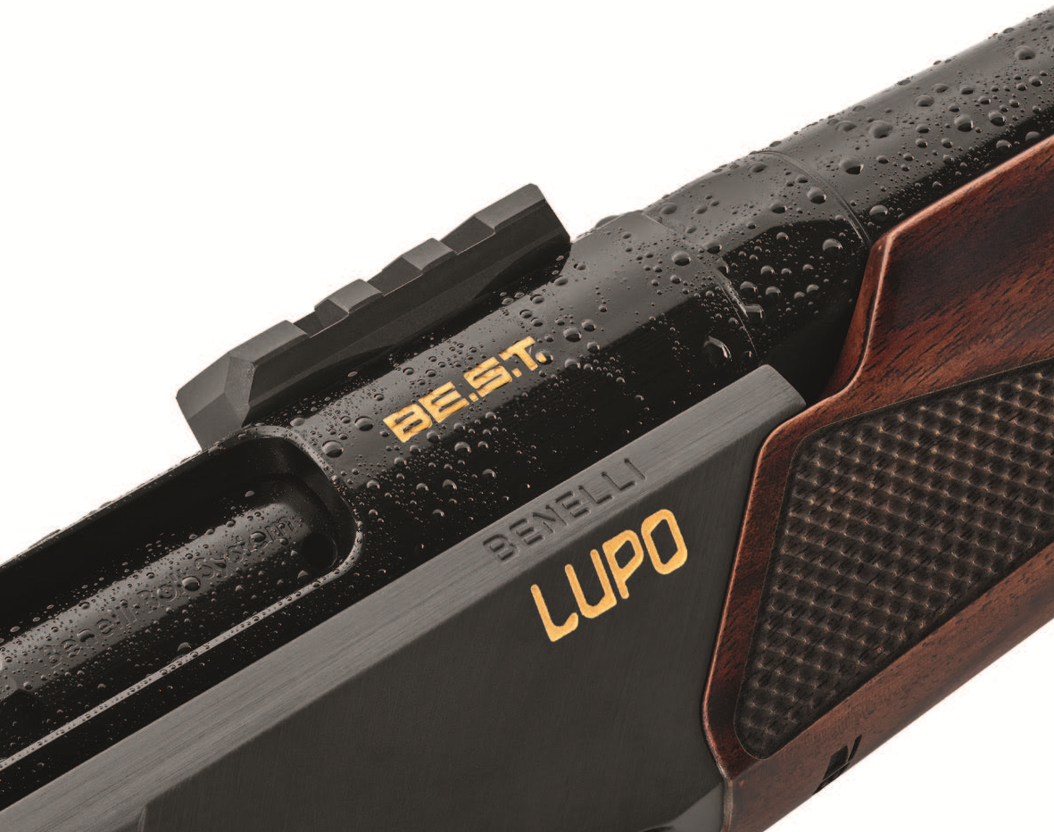 Capture d'écran 2025-01-08 153155