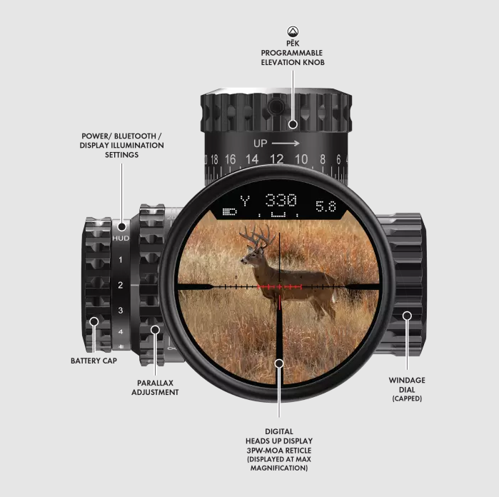 Capture d'écran 2025-01-08 233002