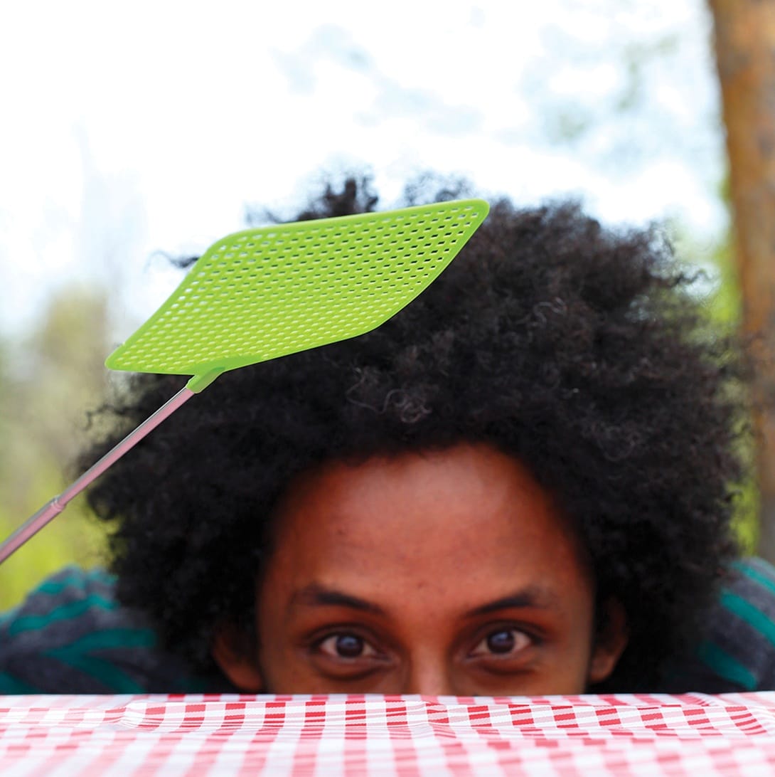 Telescopic fly swatter