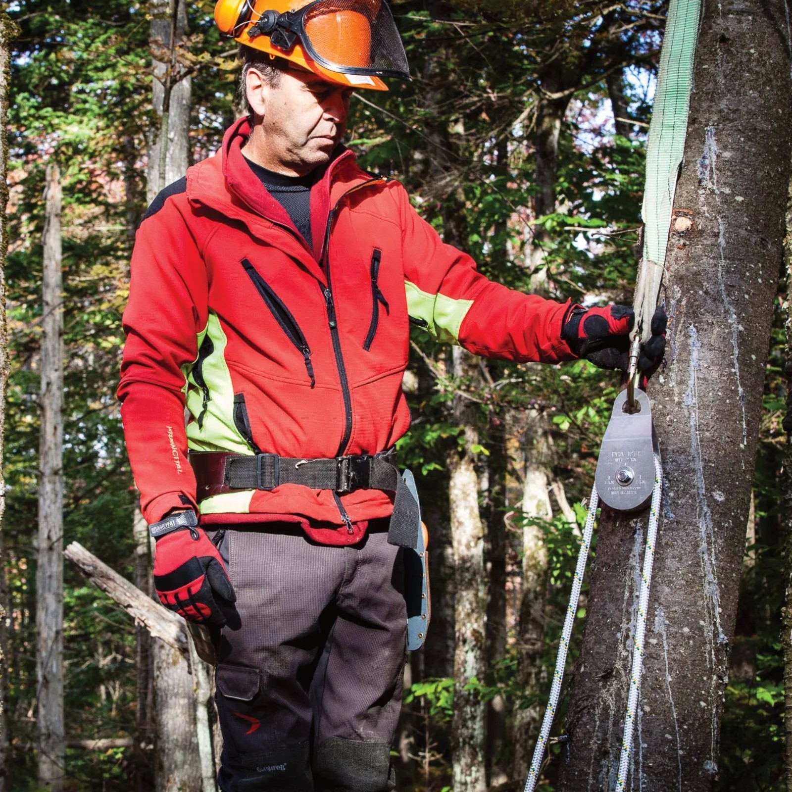 POLYESTER SLINGS POLYESTER SLINGS