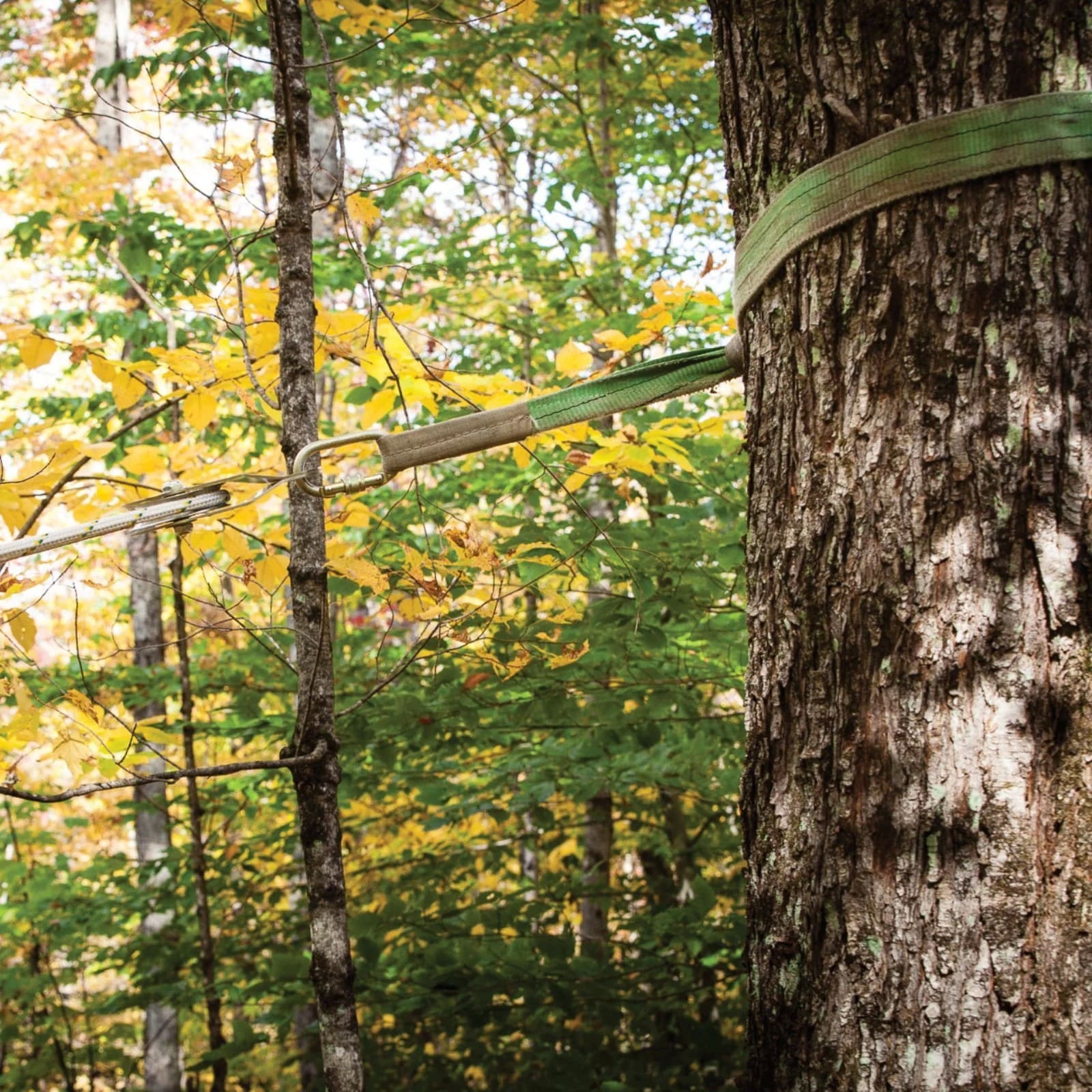 POLYESTER SLINGS POLYESTER SLINGS