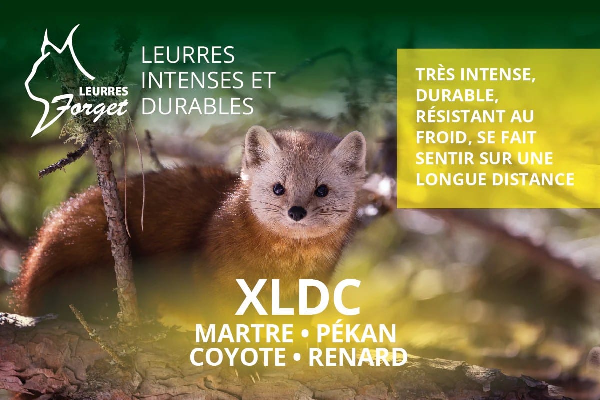 Leurres Forget XLDC - Marten - Fisher - Coyote - Fox