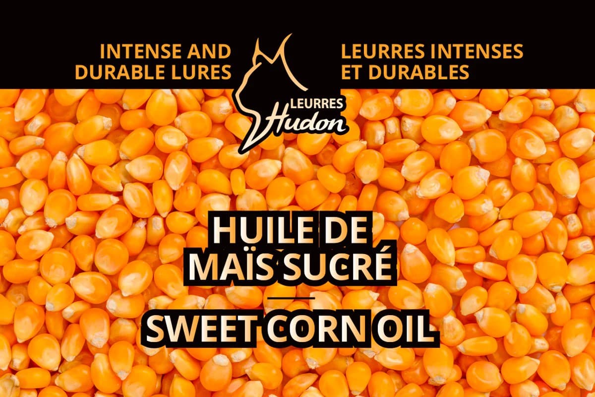 Leurres Forget - Sweet Corn Oil