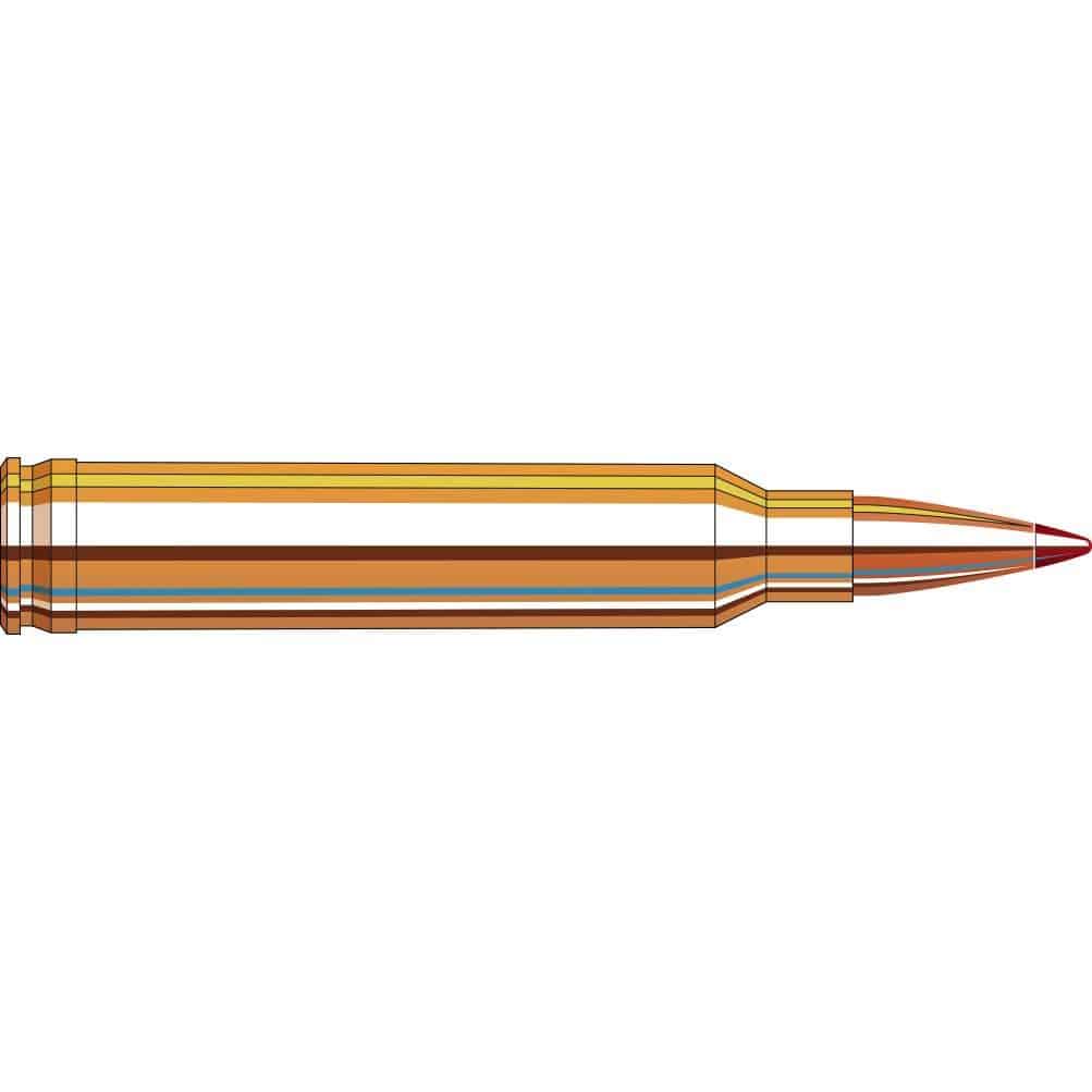 Hornady precision hunter 300 win mag 200gr eld-x