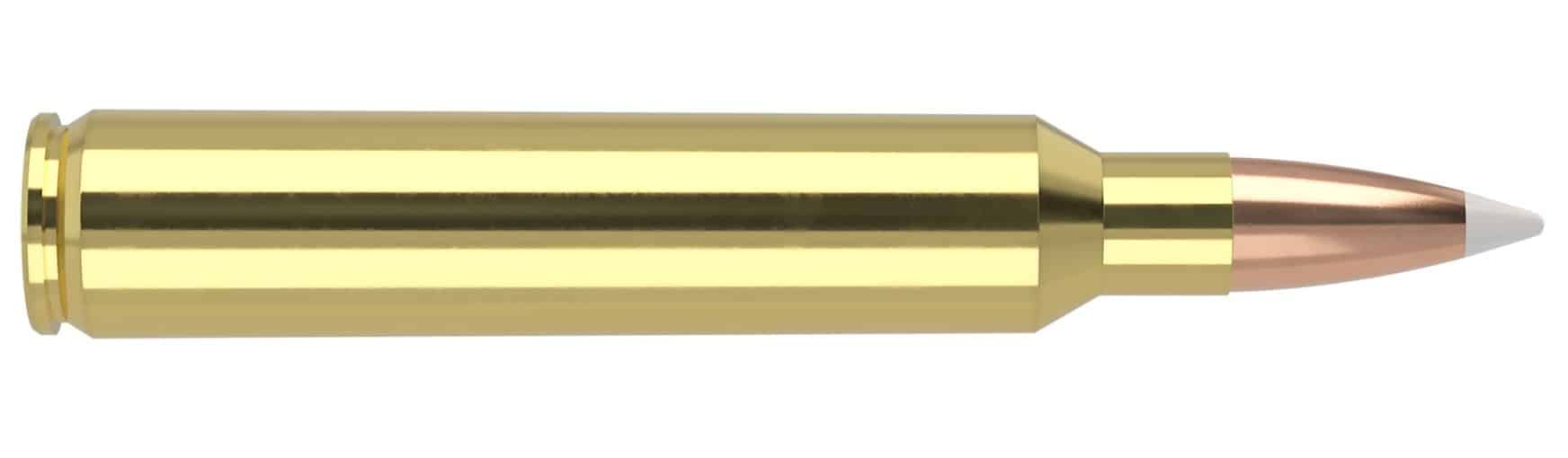 Nosler Trophy Grade Ammunition