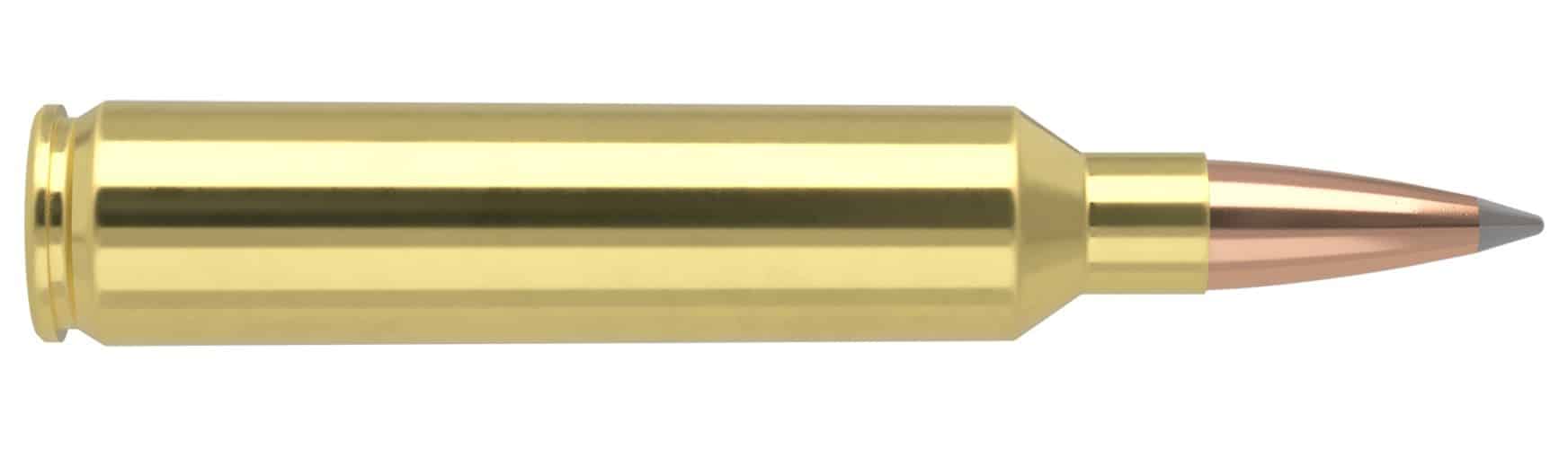 Nosler Trophy Grade Long range Ammunition