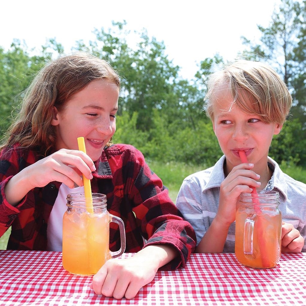 Silicone Straws - 4 Pack